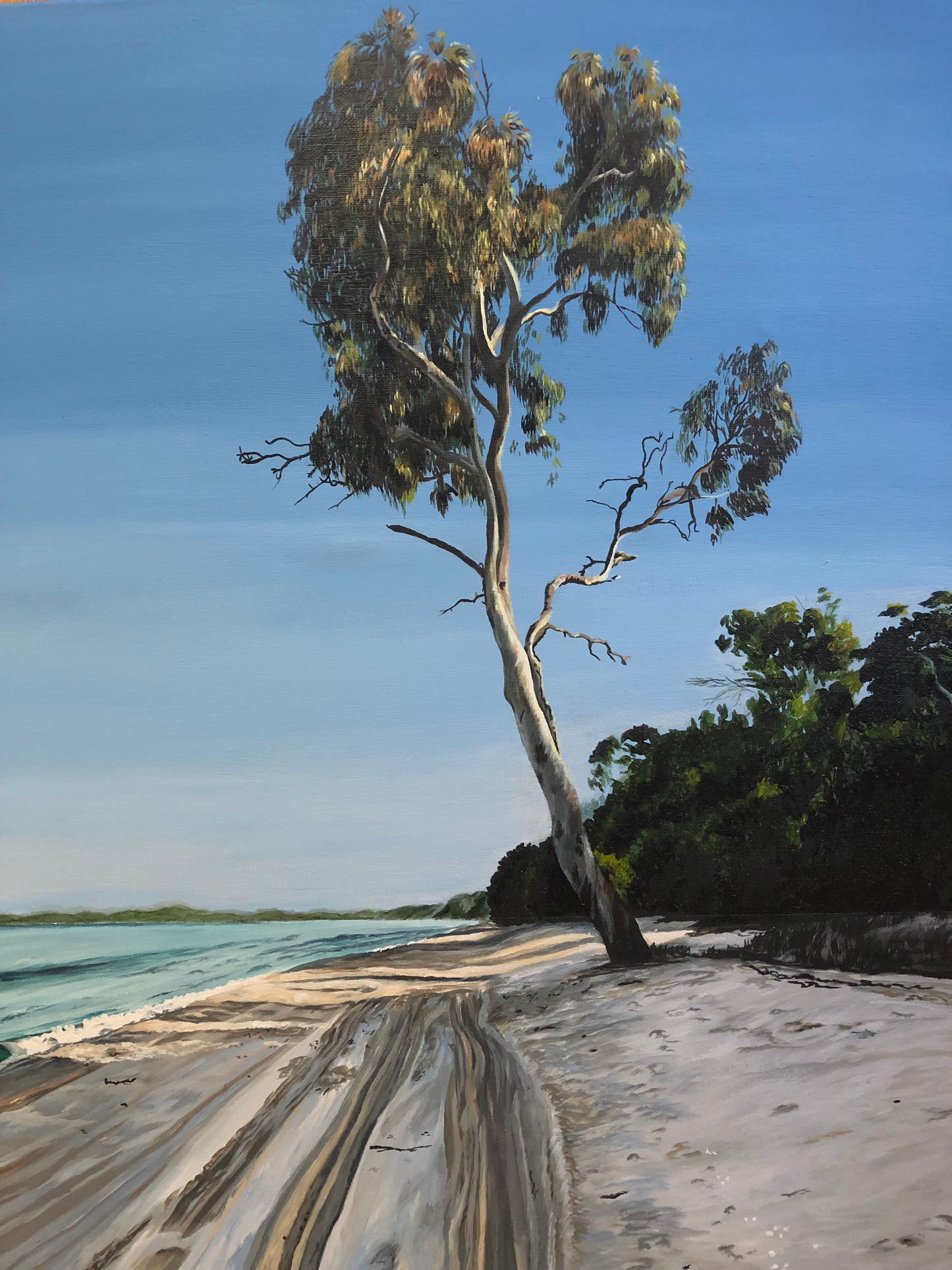 Original Canvas | K'gari (Fraser Island)