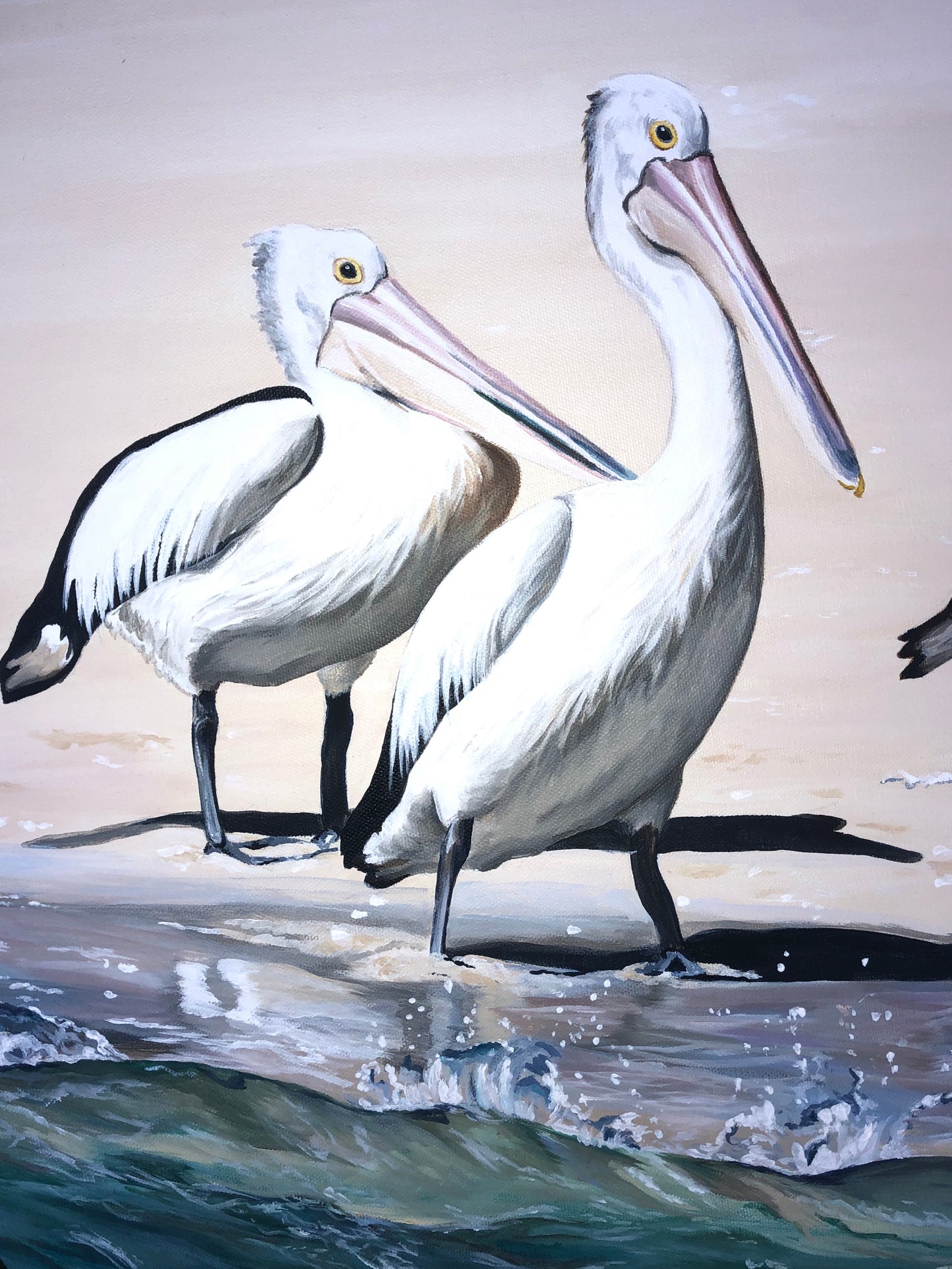 Original Canvas | Pelicans at Fraser Island