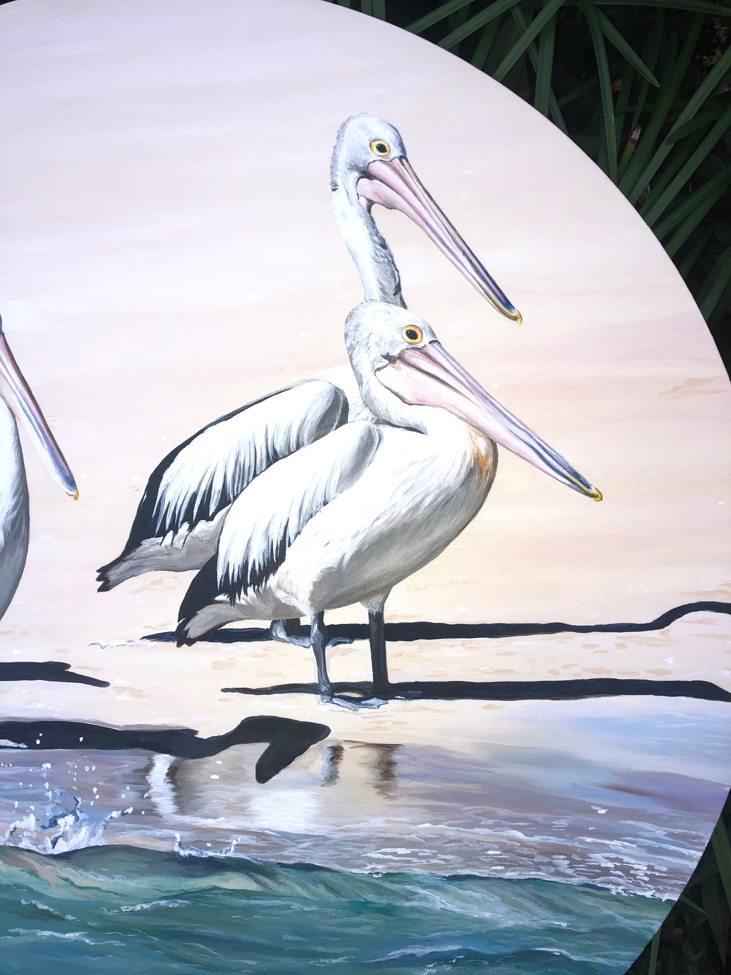 Original Canvas | Pelicans at Fraser Island