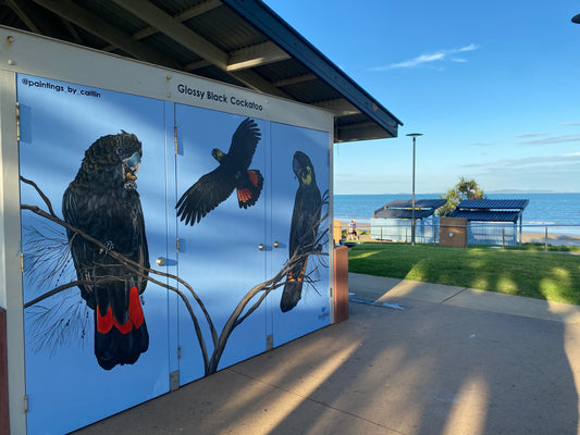 Yeppoon Foreshore