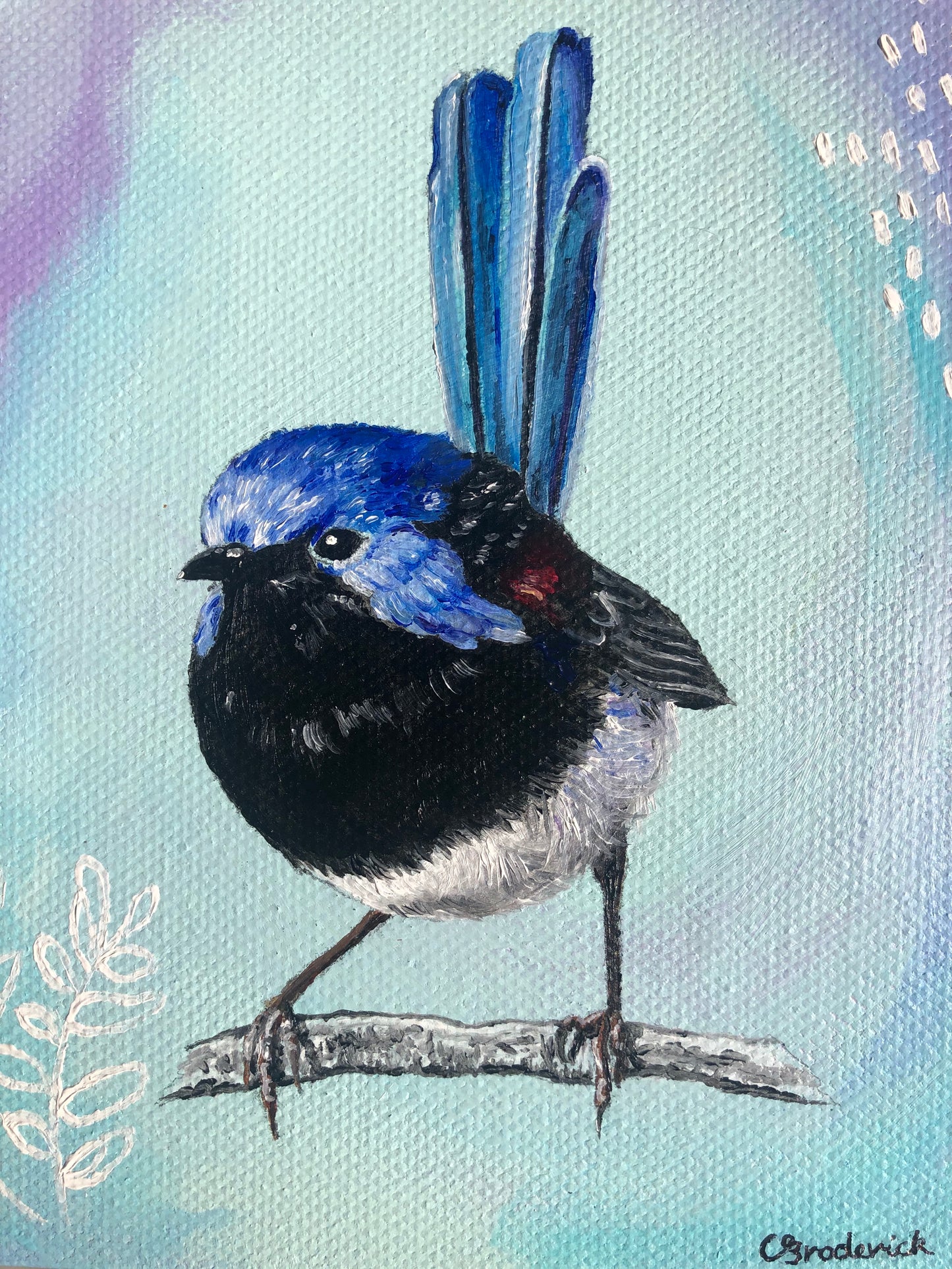 Original Canvas | Fairy Wren