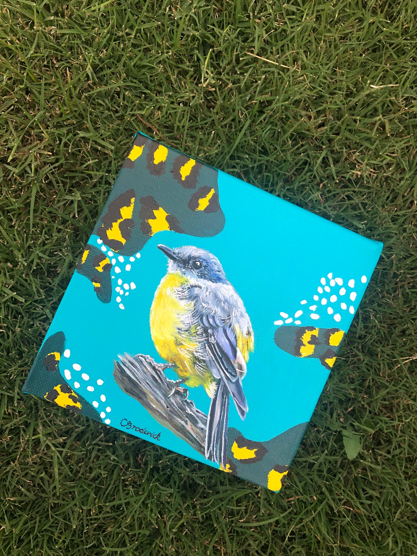 Original Canvas | Eastern Yellow Robin