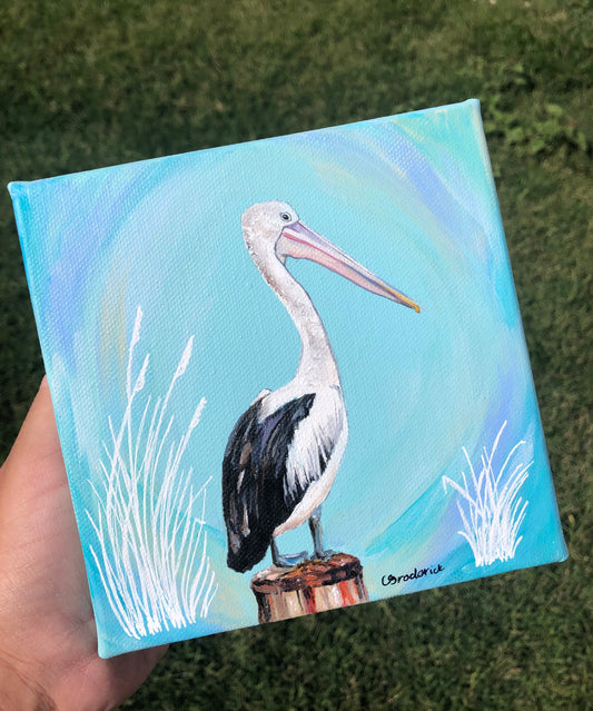 Original Canvas | Pelican at Yeppoon