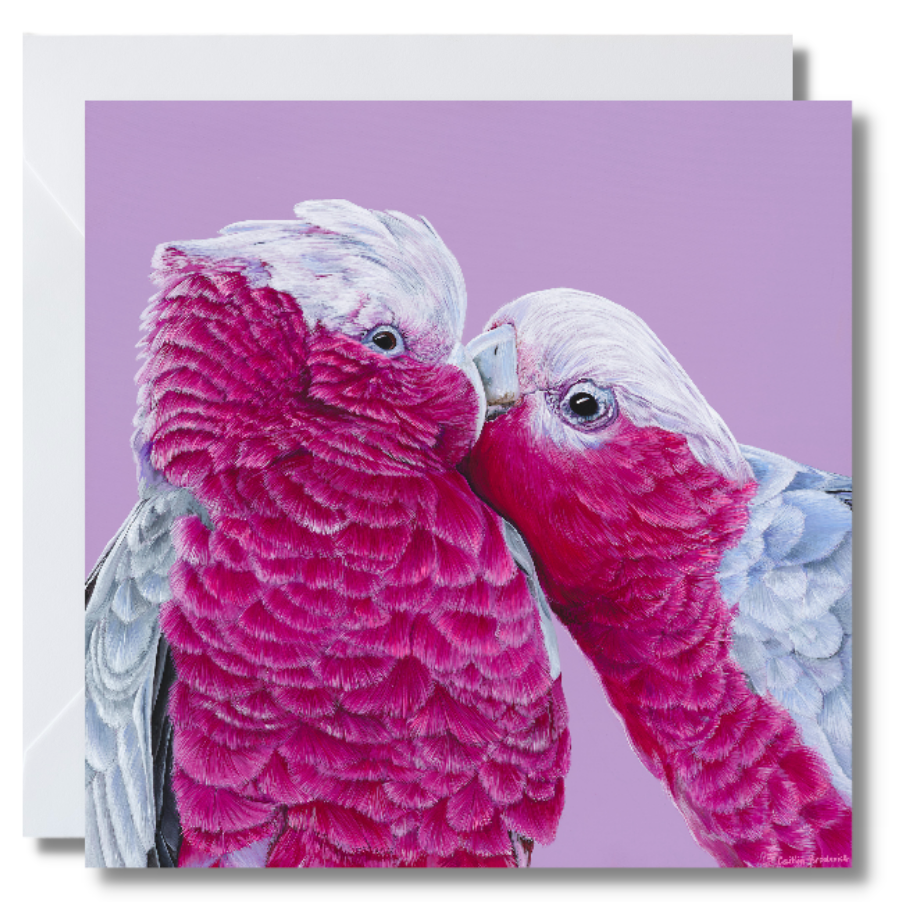 Greeting Card "Galahs"