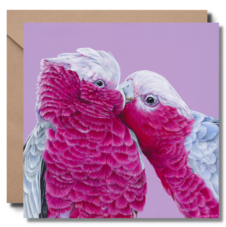 Greeting Card "Galahs"